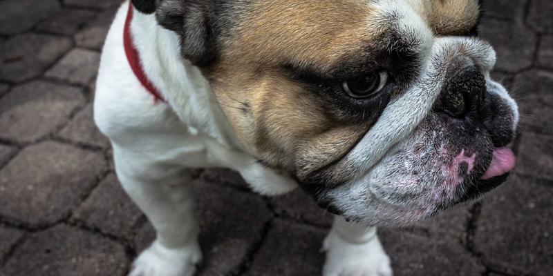 从密封件到全球市场:武汉橡胶制品出口贸易的崛起与国际竞争力深度解析