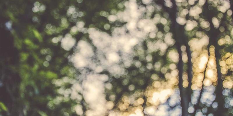 从江城到苍穹：武汉特种橡胶如何为航空航天事业注入“柔性力量”