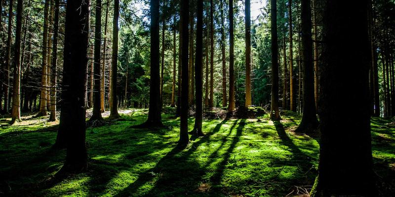 守护工业安全：武汉橡胶制品老化性能测试与寿命评估全解析