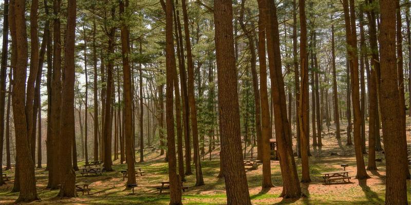 武汉橡胶制品如何为农机注入“强韧基因”：密封与传动解决方案深度解析